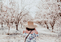 Almond Orchards with Renee / Version 2