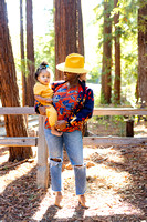 Mickey Family Session Los Altos Redwood Nature Grove 300dpi